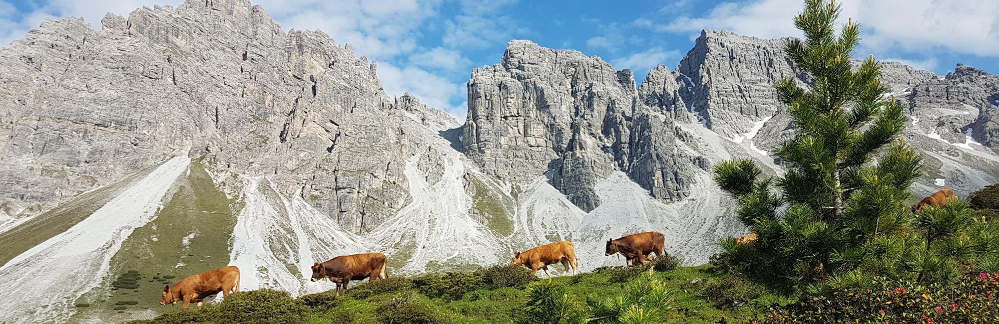 Design zum Wohlfühlen